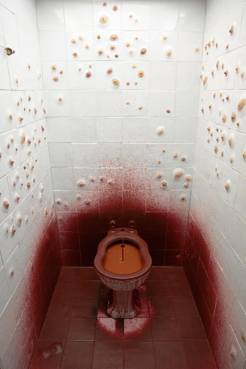 bidet, blood + nipple tiles