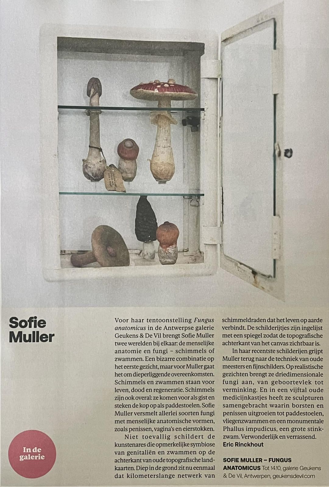 In de galerie: Sofie Muller