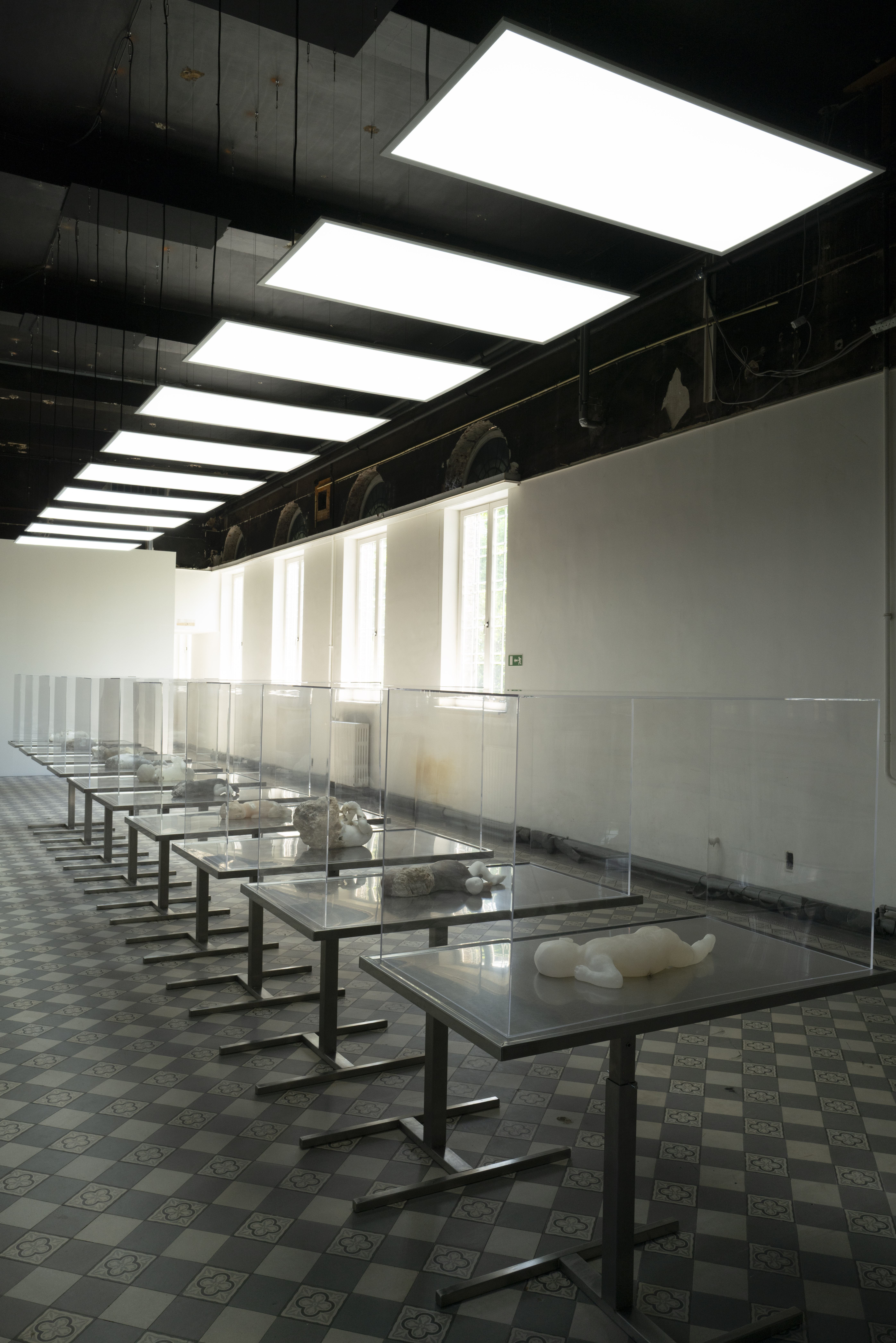 The Clean Room The Clean Room