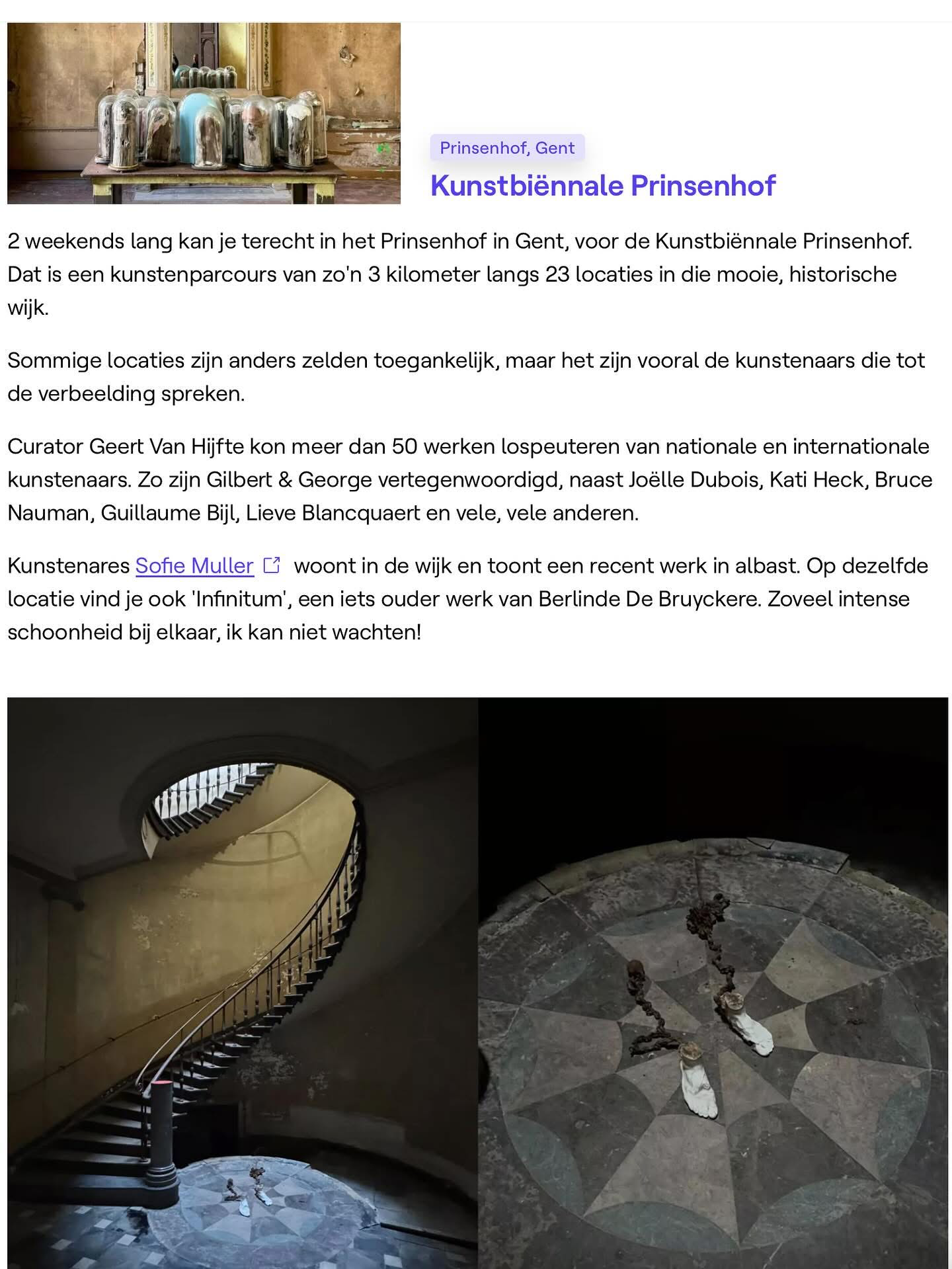 Biennial - Prinsenhof  – Ghent 